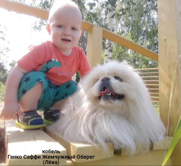 Прикрепленное изображение: post-1010-089978700 1732489184_thumb.jpg